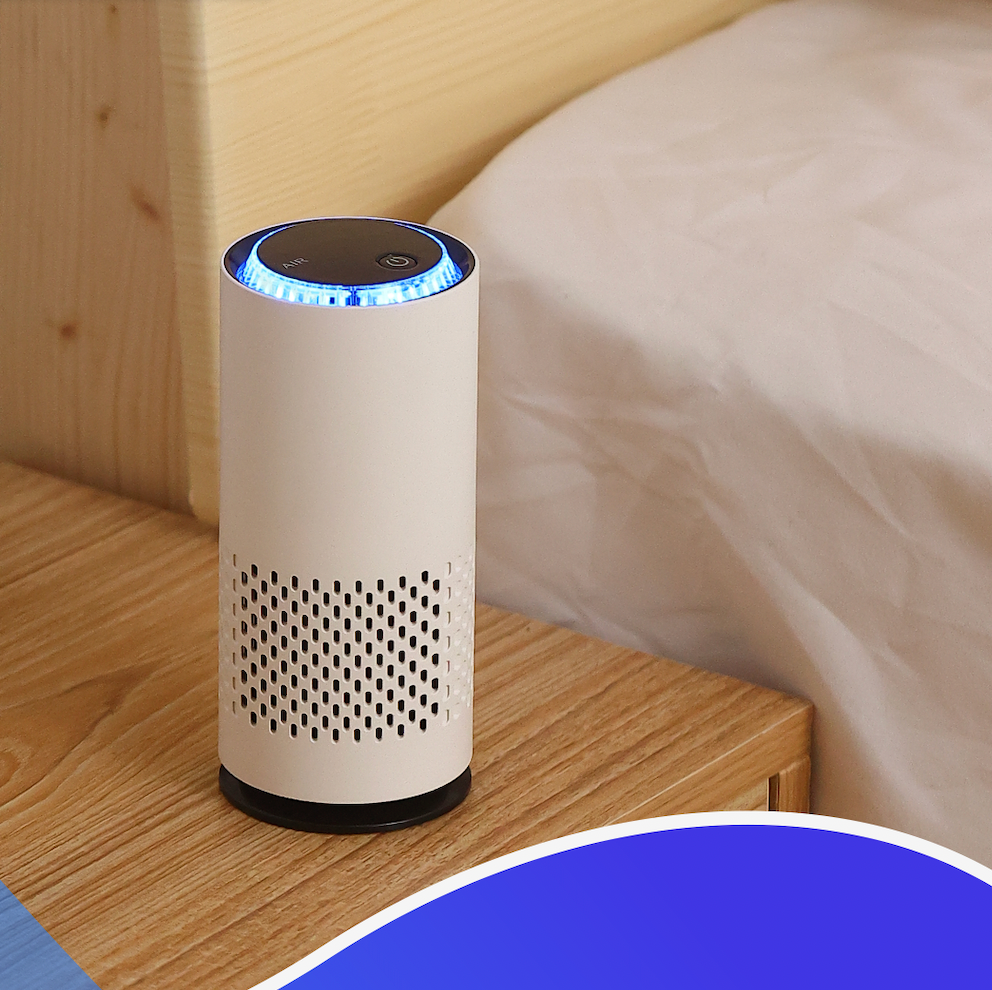 LifeWise Mini Air Purifier