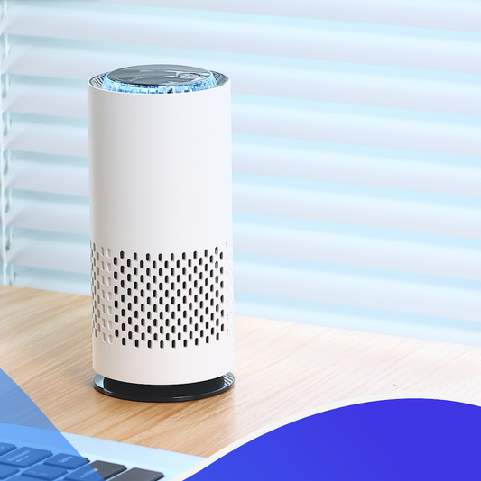 LifeWise Mini Air Purifier