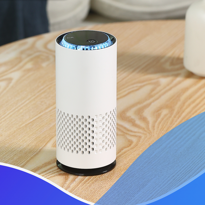 LifeWise Mini Air Purifier